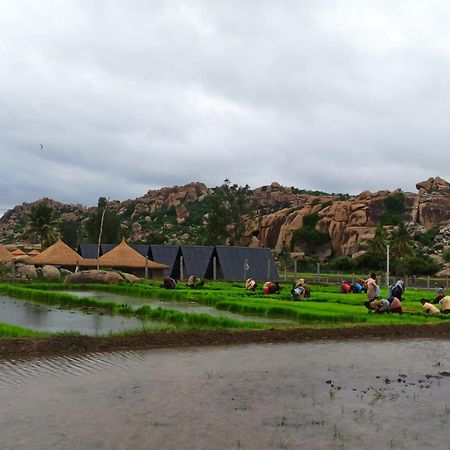 Golden Chariot Resort Hampi Exterior photo
