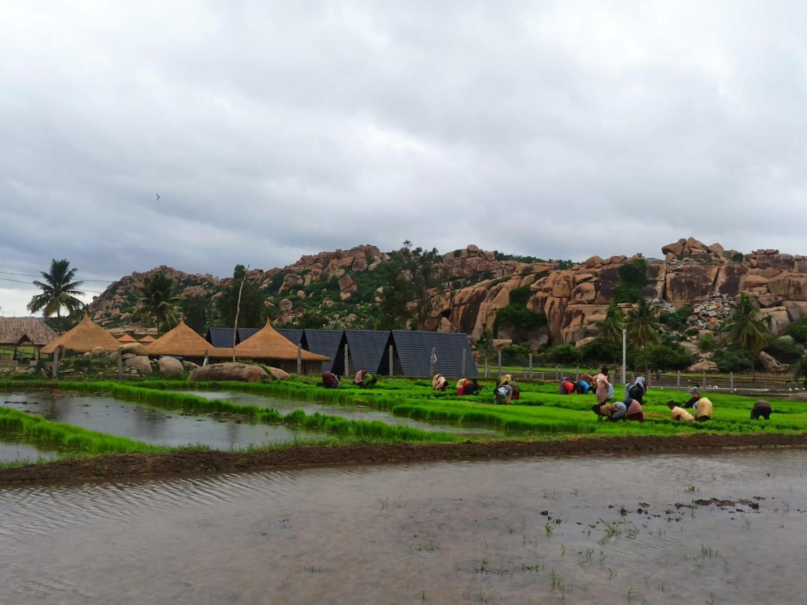 Golden Chariot Resort Hampi Exterior photo